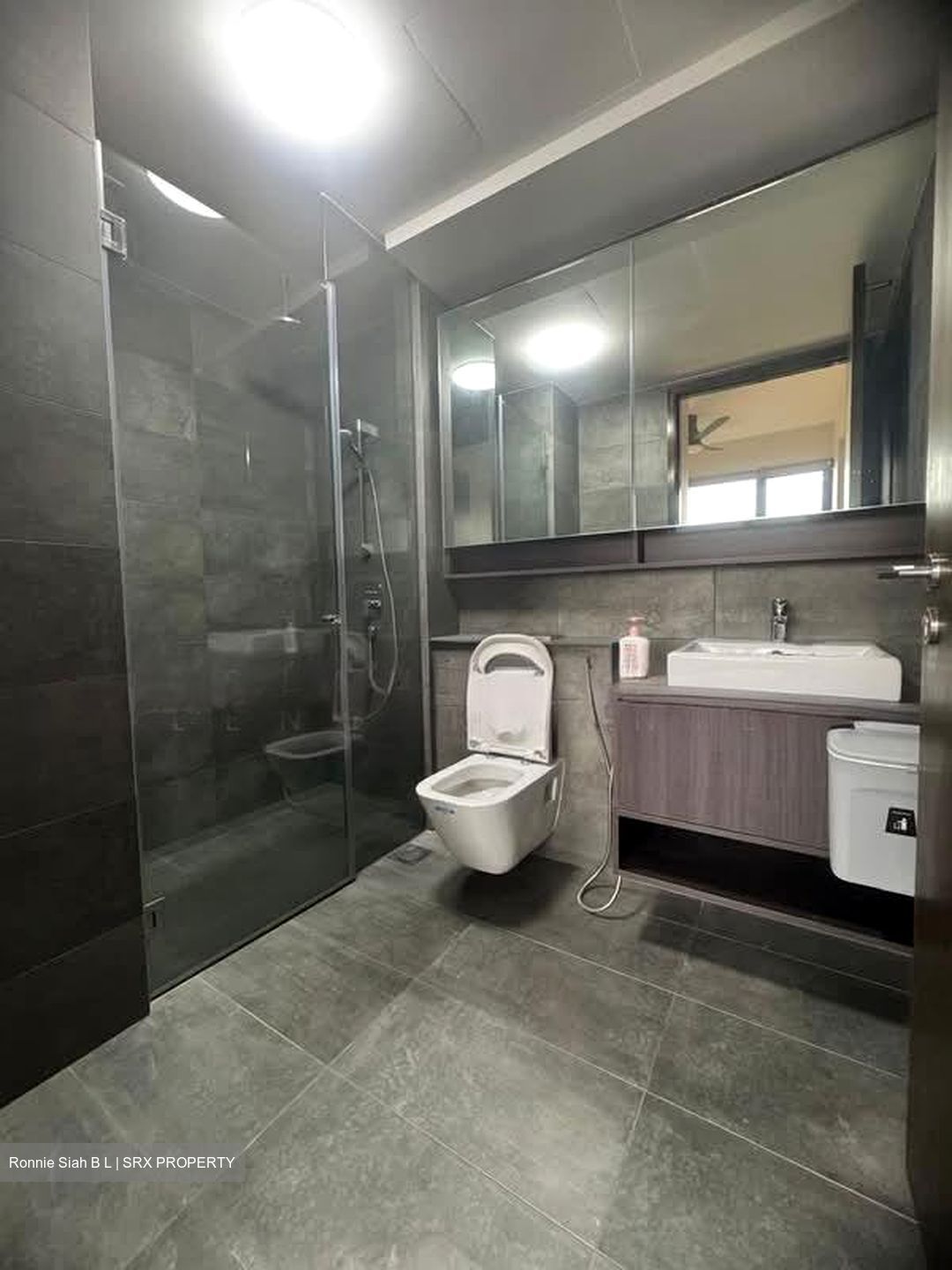 Grandeur Park Residences (D16), Condominium #561640581